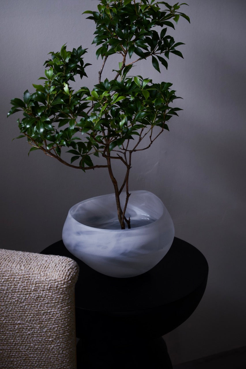 Haku 05