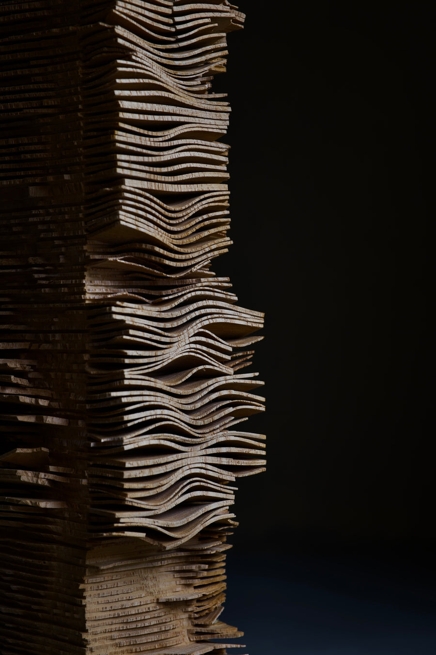 Gnomon 03
