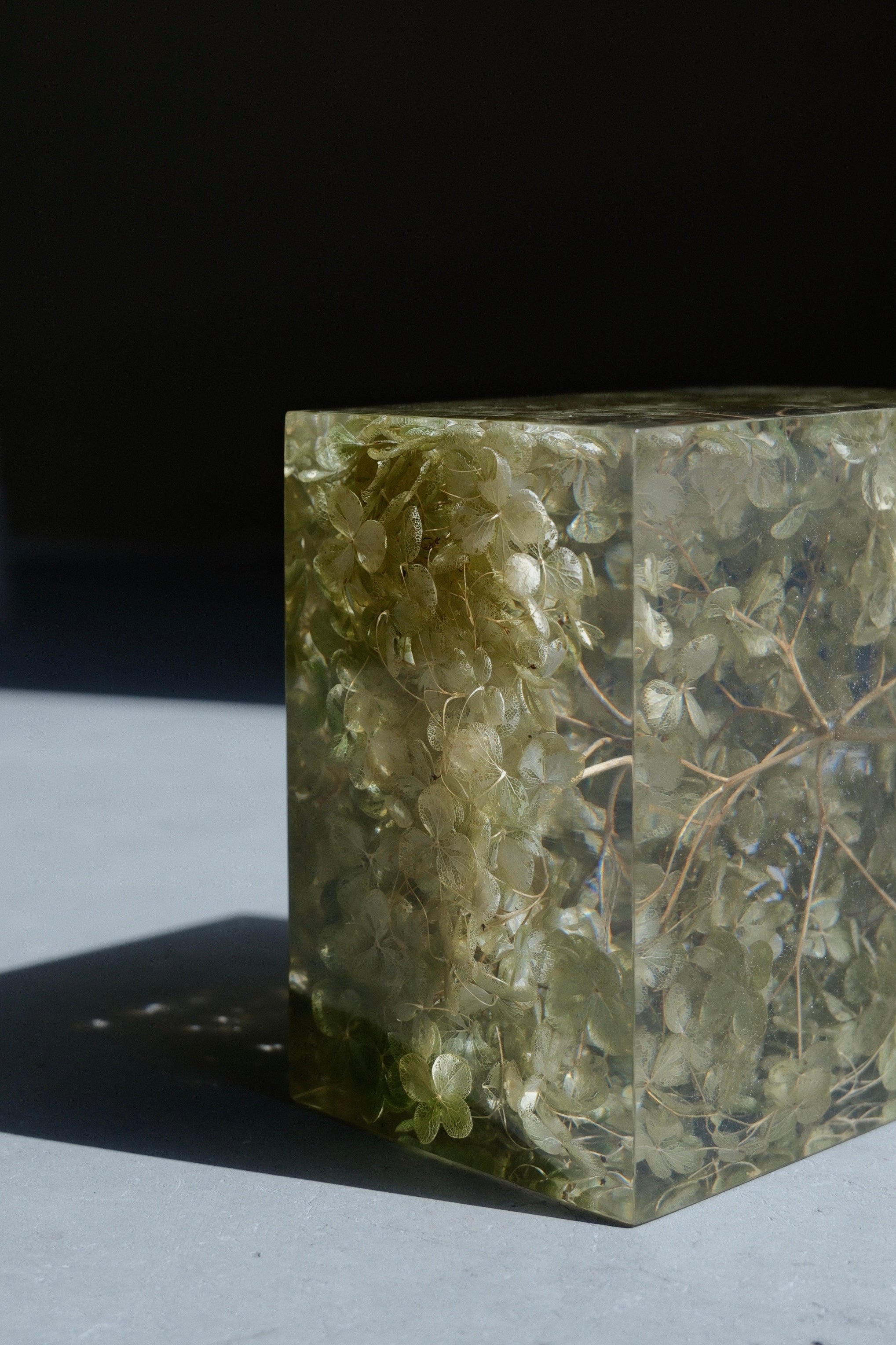 exhibition | KEISUKE ISHII