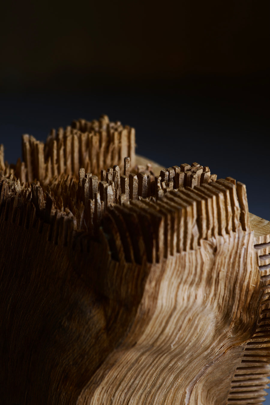 Gnomon 11