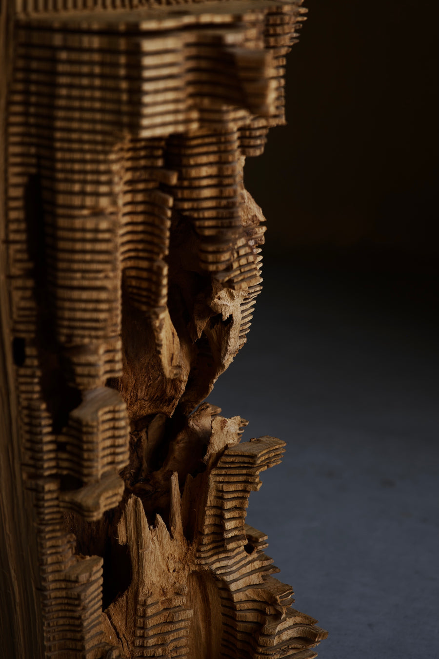 Gnomon 12