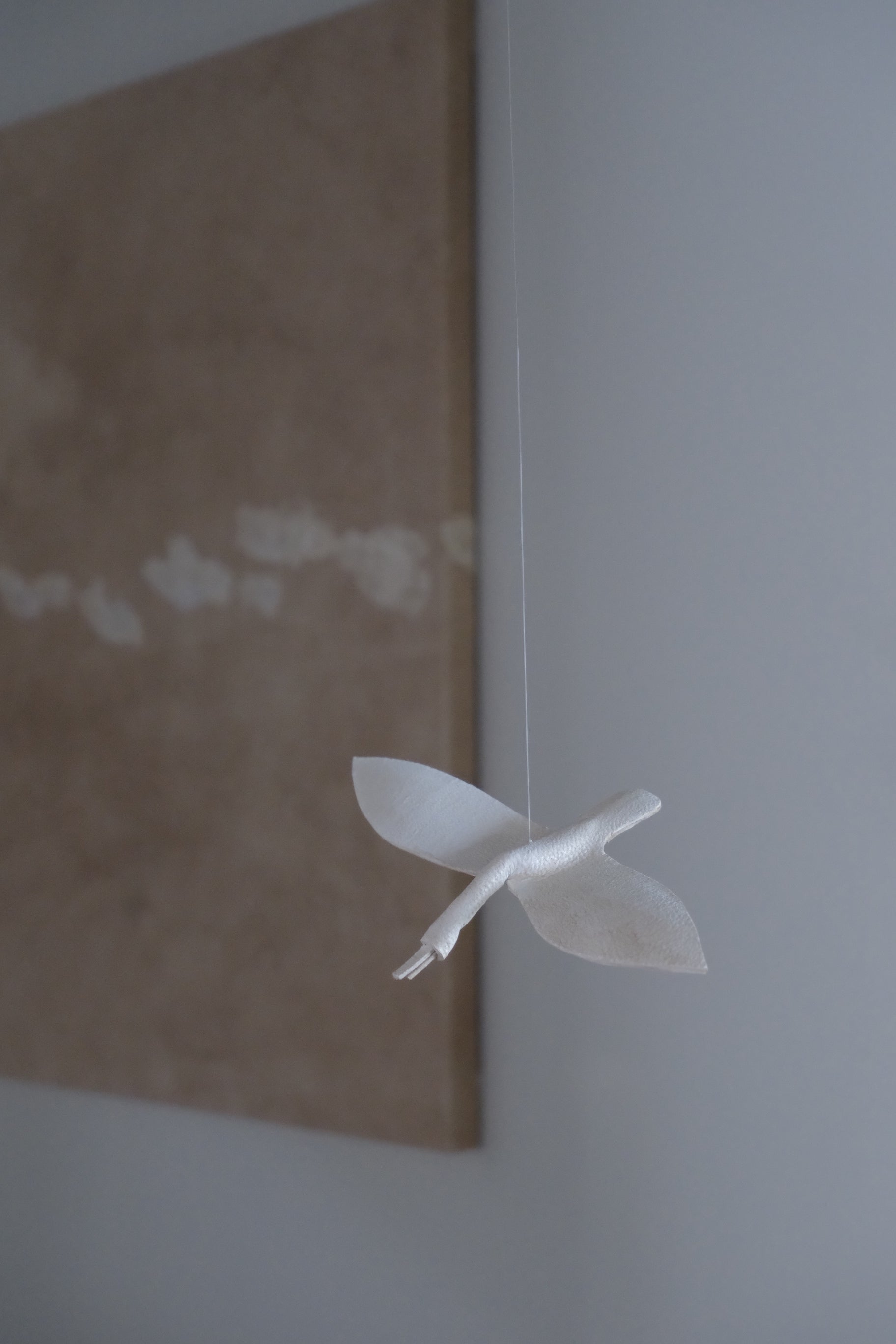 exhibition | Kazunaga Ota