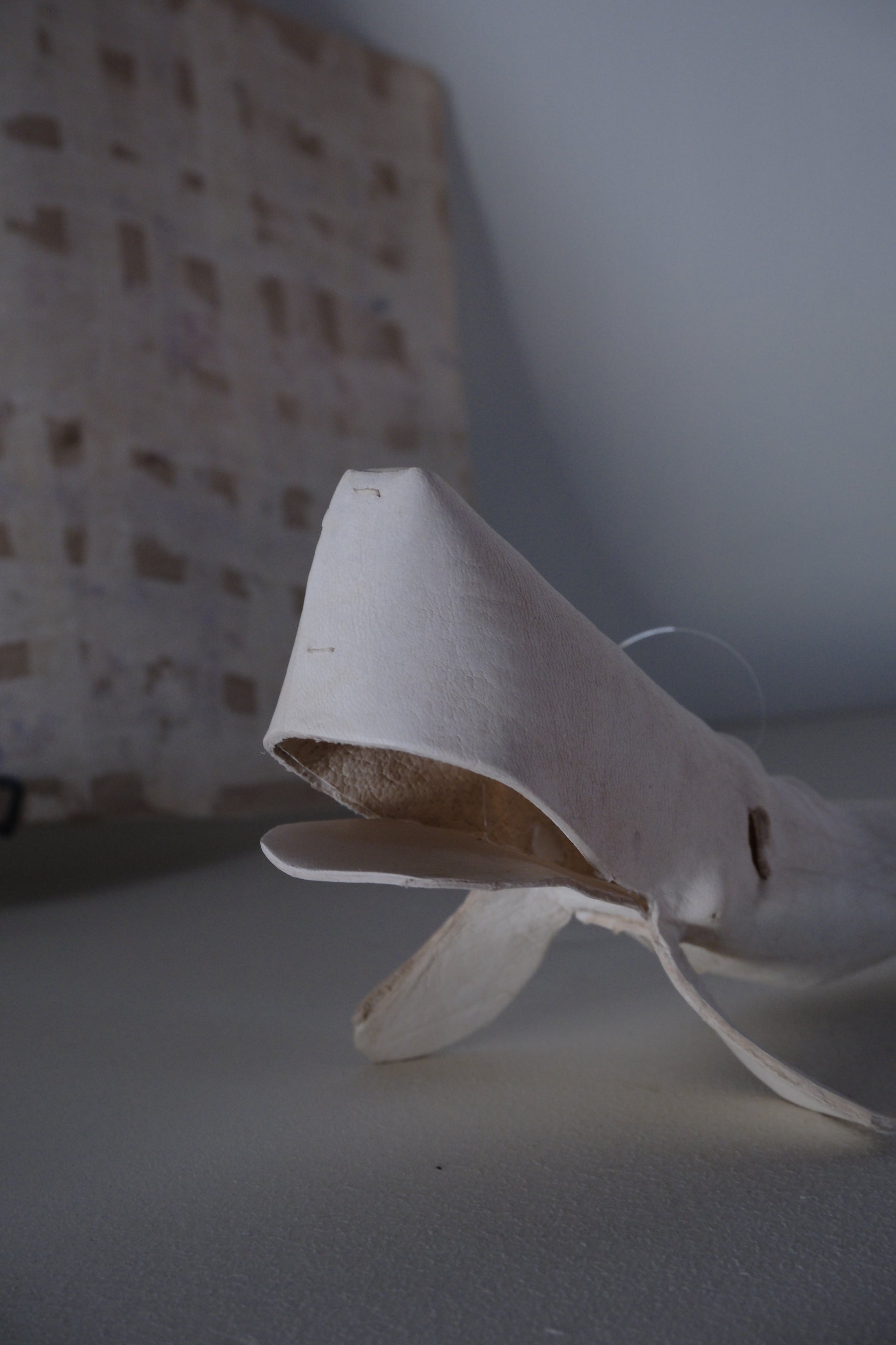 exhibition | Kazunaga Ota