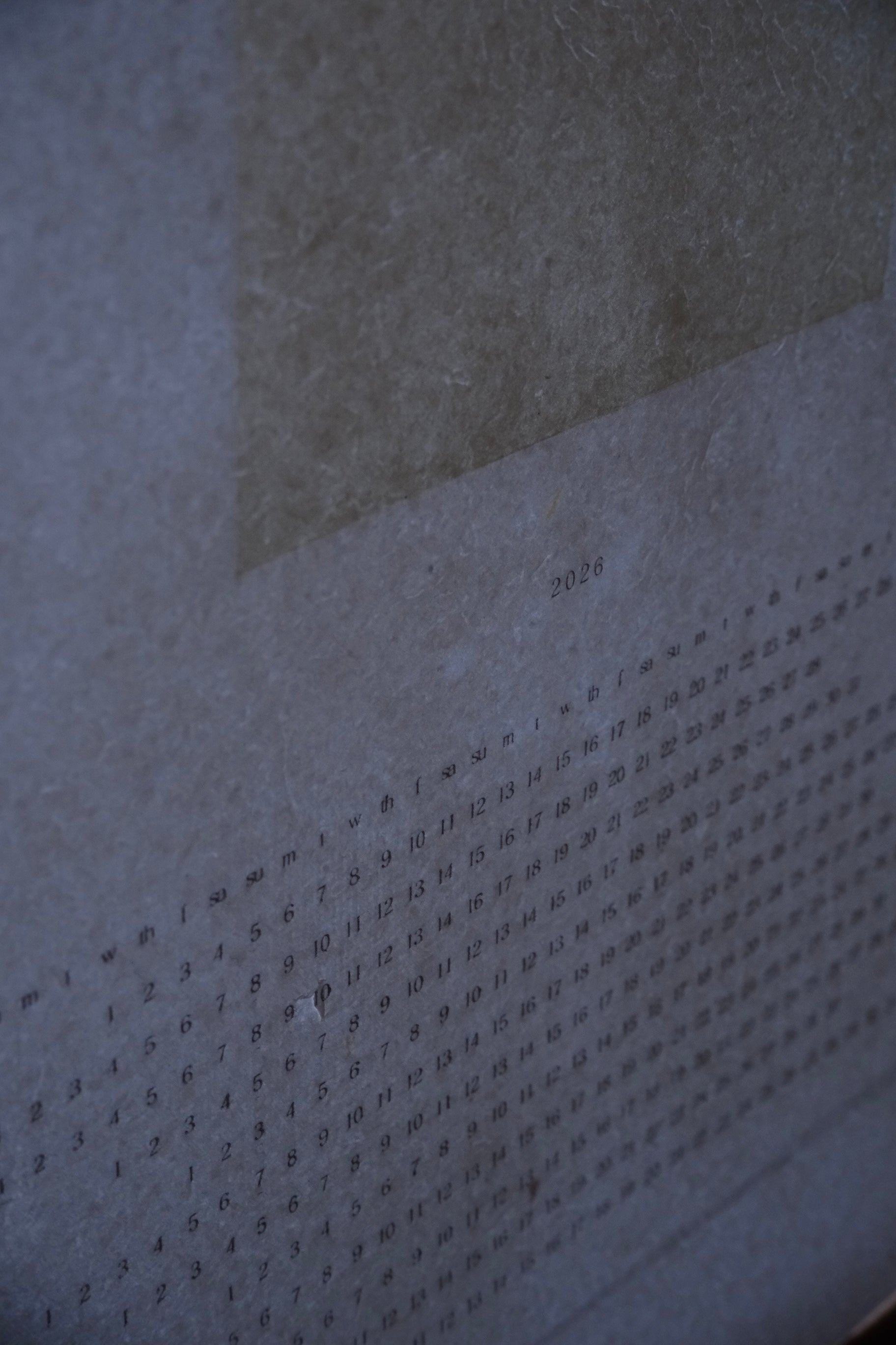 POP UP | Grain Rain 