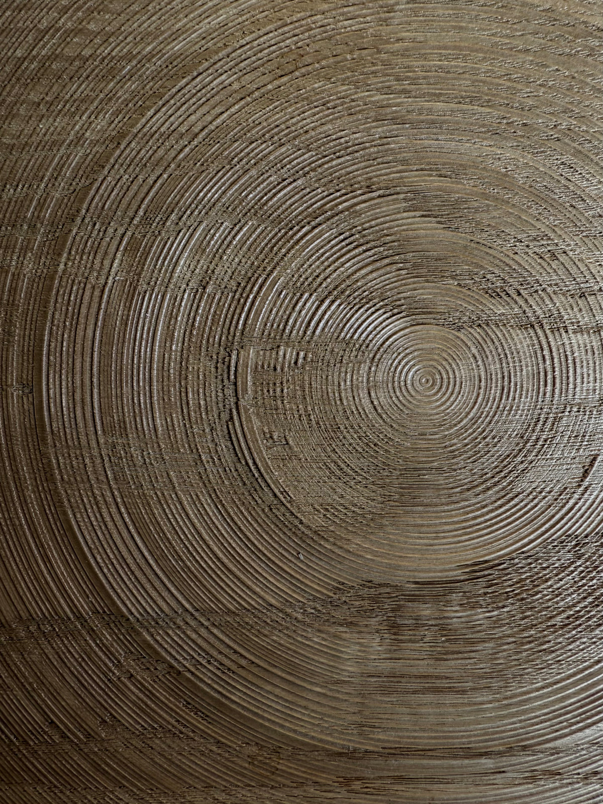 exhibition | Hiromi Urushiyama
