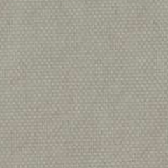 cc gray