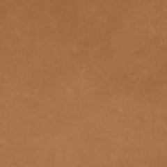 dunes camel